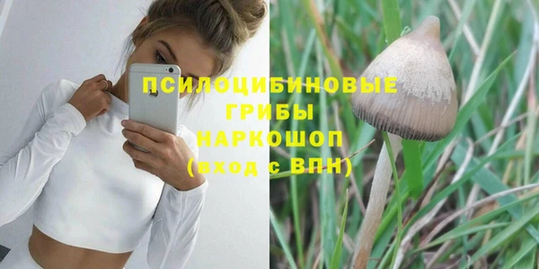 спайс Алексин