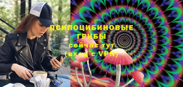 винт Алексеевка