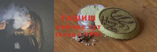 индика Протвино