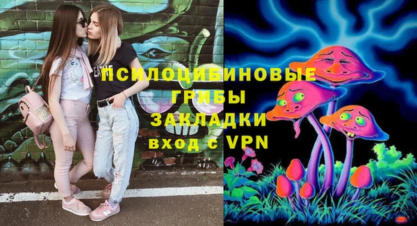 винт Алексеевка